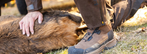 Ловен сезон и ловен календар в България 2026: Ръководство
